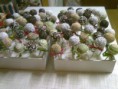 /album/rolady/cake-pop-jpg/